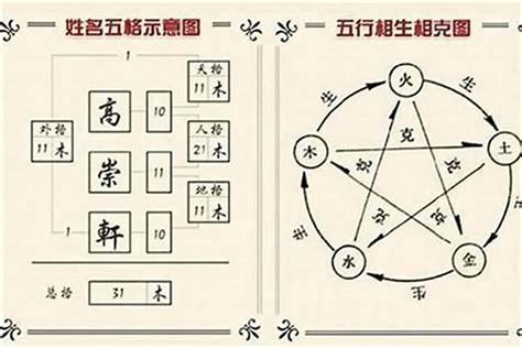 姓名的五行|名字分析